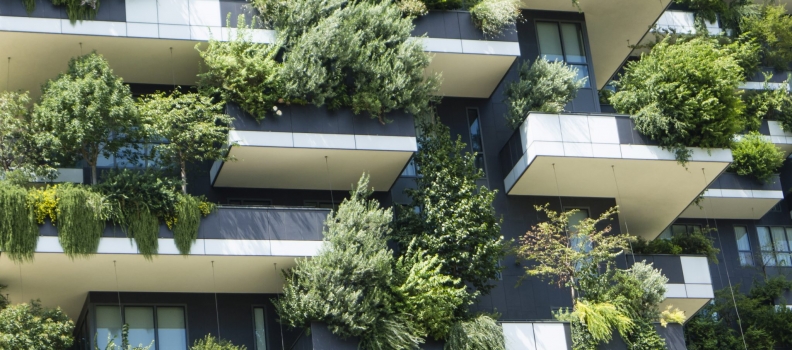 El éxito de los jardines verticales en las ciudades